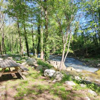 Table pique-nique en bord de rivière